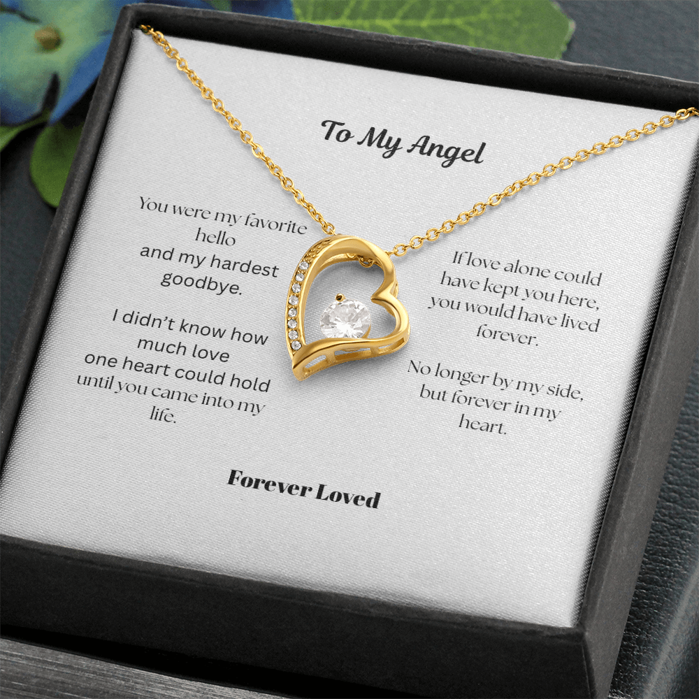 A Gift For Those Who've Lost a Beloved Pet 🐾💔